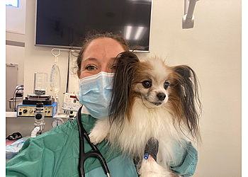 Shreveport Veterinary Clinics University Veterinary Hospital