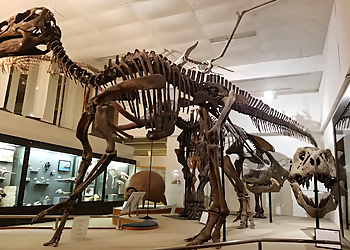 Madison Landmarks University of Wisconsin Geology Museum