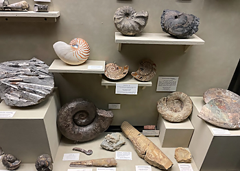 Madison Landmarks University of Wisconsin Geology Museum