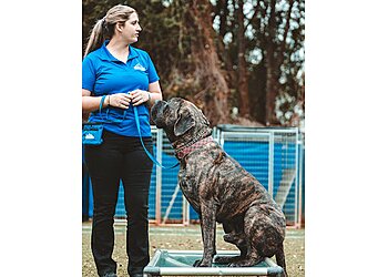 Jacksonville Dog Training Unleash Fido