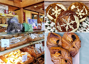 Gainesville Bakeries Uppercrust