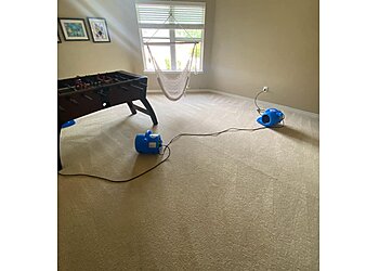 McKinney Carpet Cleaners Uptown Carpet Care