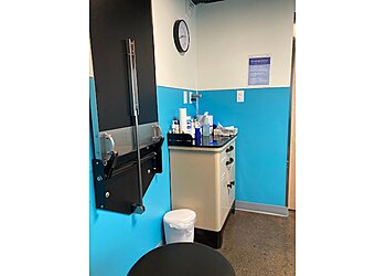 Seattle Veterinary Clinics Urban Animal