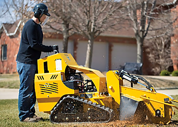 Eugene Tree Services Urban Arbor Care LLC