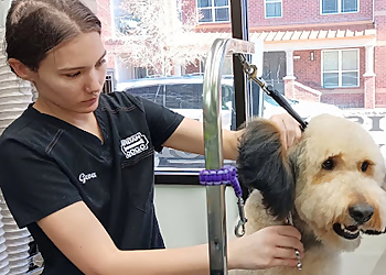 Denver Pet Grooming Urban Dogg Uptown