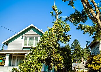 Portland Tree Services Urban Forest Pro