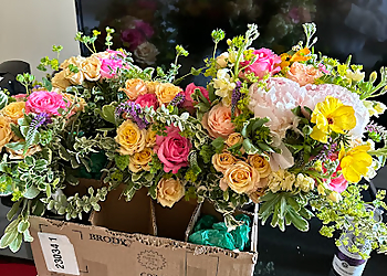 Cleveland Florists Urban Orchid