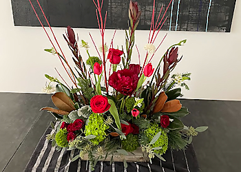 Cleveland Florists Urban Orchid