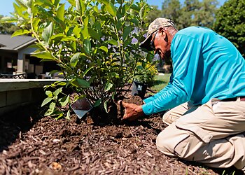 Omaha Landscaping Companies Urban Prairie Landesign