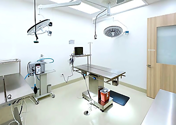 UrbanVet - Newport Beach, CA Veterinary Clinics - Medical Procedure Image