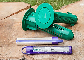 Lowell Pest Control Companies Urbanex Chelmsford