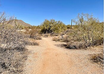 Mesa Hiking Trails Usery Mountain Regional Park