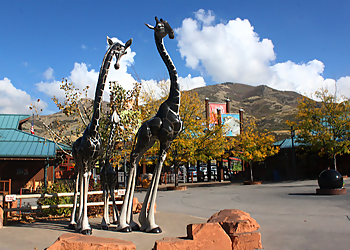 Salt Lake City Places To See Utah's Hogle Zoo