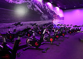 Thornton Gyms VASA Fitness Thornton