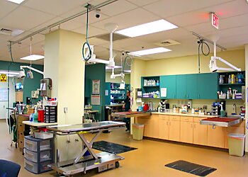 Escondido Veterinary Clinics VCA Acacia Animal Hospital and Pet Resort