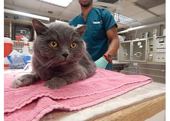 Alexandria Veterinary Clinics VCA Alexandria Animal Hospital