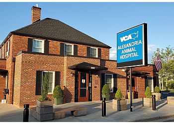 3 Best Veterinary Clinics in Alexandria, VA - ThreeBestRated
