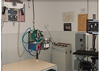 Salinas Veterinary Clinics VCA All Pets Animal Hospital