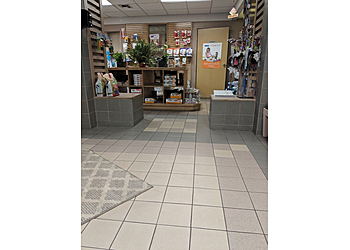 Glendale Veterinary Clinics VCA Arden Animal Hospital