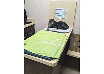 Glendale Veterinary Clinics VCA Arden Animal Hospital