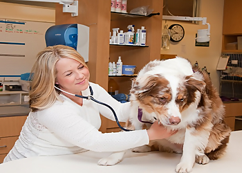 Bakersfield Veterinary Clinics VCA Bakersfield Animal Hospital