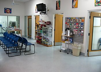 Oakland Veterinary Clinics VCA Bay Area Animal Hospital