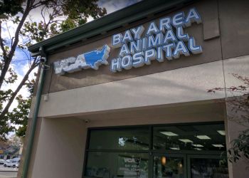 VCA Bay Area Animal Hospital Oakland Veterinary Clinics