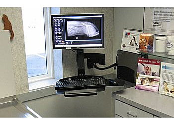 Newport News Veterinary Clinics VCA Boulevard Animal Hospital