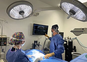 Ontario Veterinary Clinics VCA California Veterinary Specialists