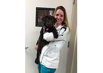 Thousand Oaks Veterinary Clinics VCA Camino Animal Hospital