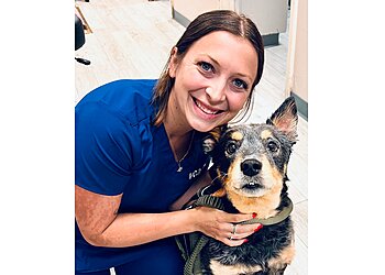 Montgomery Veterinary Clinics VCA Carriage Hills Animal Hospital and Pet Resort