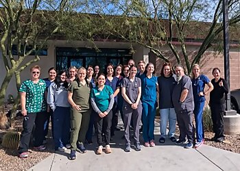 Tucson Veterinary Clinics VCA Civano Animal Hospital and Emergency Center