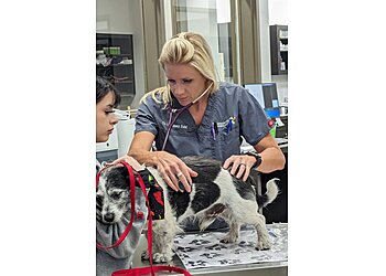 Tucson Veterinary Clinics VCA Civano Animal Hospital and Emergency Center