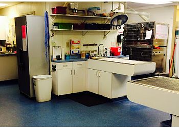 Savannah Veterinary Clinics VCA Greater Savannah Animal Hospital