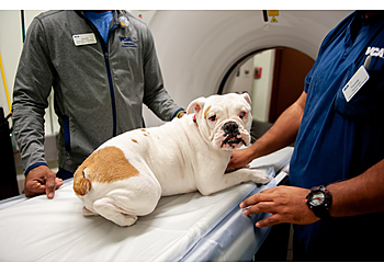 Hollywood Veterinary Clinics VCA Hollywood Animal Hospital