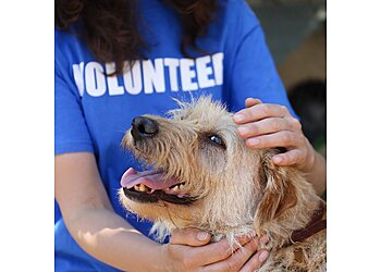 Joliet Veterinary Clinics VCA Joliet Animal Hospital