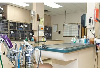 Victorville Veterinary Clinics VCA Mesa Animal Hospital