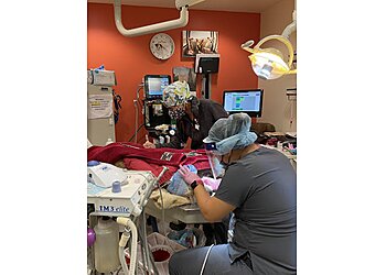 San Jose Veterinary Clinics VCA Pinnacle Animal Hospital