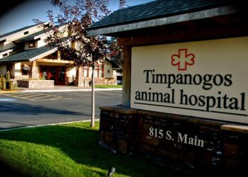 VCA Timpanogos Animal Hospital