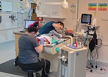 Hampton Veterinary Clinics VCA Todds Lane Animal Hospital