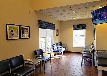 Hartford Veterinary Clinics VCA Veterinary Specialists of CT