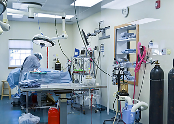 Hartford Veterinary Clinics VCA Veterinary Specialists of CT