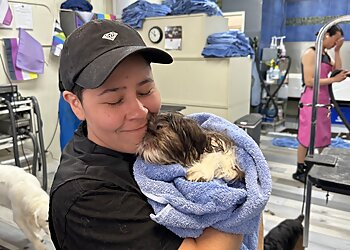 San Francisco Pet Grooming VIP Grooming