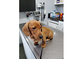 Santa Clarita Veterinary Clinics Valencia Veterinary Center