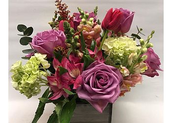 3 Best Florists in Houston, TX - Expert Recommendations