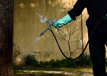 Vallejo Pest Control Companies Vallejo Pest Control Co.