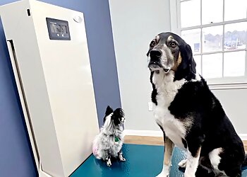 Huntsville Veterinary Clinics Valley Animal Hospital & Pet Resort