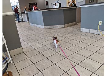 Valley Ranch Pet Clinic - Irving, TX Veterinary Clinics - Clinic Interior Image