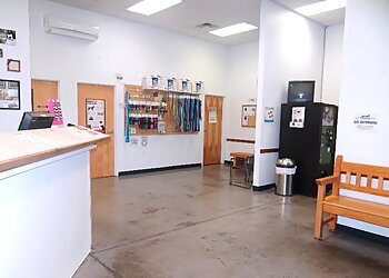 Albuquerque Veterinary Clinics Valley Vetco
