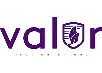 St Paul Pest Control Companies Valor Pest Solutions, Saint Paul
